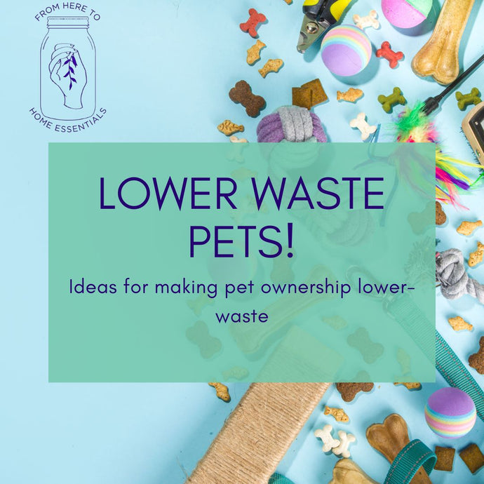 Low-Waste Tips for Pet Parents